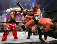 Royal Rumble 2006.4.jpg (55 KB)