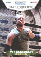 2012 TNA Impact Wrestling Reflexxions Trading Cards (Tristar) Mr. Anderson (No.67)