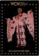 1991 WCW Collectible Trading Cards (Championship Marketing) Ric Flair in Pink Robe (No.73)
