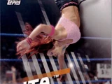 2016 WWE Divas Revolution Wrestling (Topps) Lita (No.6)