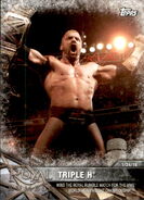 2017 WWE Road to WrestleMania Trading Cards (Topps) Triple H 15