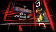 3.) The Day Hulkamania Died