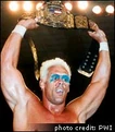 Sting 10th Champion (June 18, 1995 - November 13, 1995)