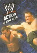 2007 WWE Action (Topps) Checklist (No.90)