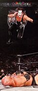 Sting goes airborne against Goldberg