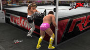 WWE 2K14 Screenshot.3