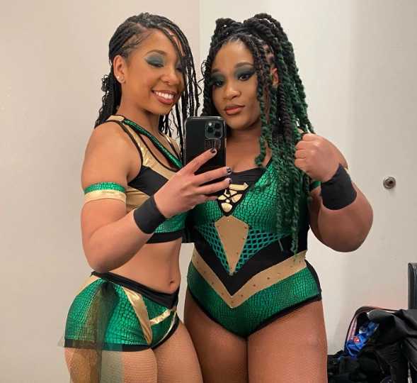 King Bees/Image gallery Pro Wrestling Fandom