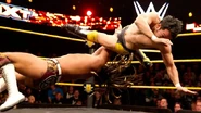 NXT 274 Photo 12.jpg (44 KB)