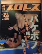 Weekly Pro Wrestling No. 1381 August 22, 2007