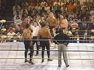 WrestleWar 1991.00035.jpg (28 KB)