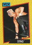 1991 WCW (Impel) Sting 13