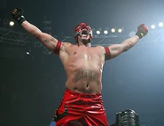 Royal Rumble 2006.16.jpg (27 KB)