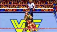 WWF WrestleFest.5