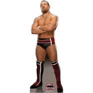 Daniel Bryan Standee