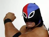 Fuerza Guerrera