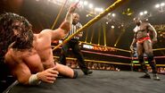 NXT 246 Photo 18.jpg (43 KB)