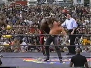 Road Wild 1997.00003.jpg (30 KB)