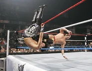 The Great American Bash 2006.1.jpg (34 KB)