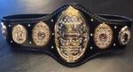 AEW Womens World Championship Belt.jpg