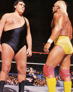 Hogan vs. Andre