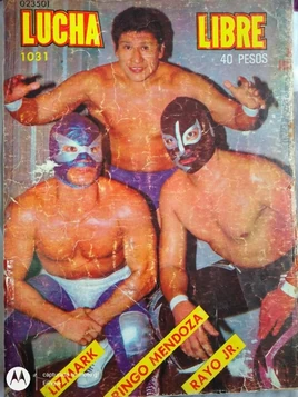 Lucha Libre 1031