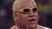 Rikishi glasses