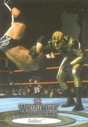 2003 WWE WrestleMania XIX (Fleer) Goldust (No.23)