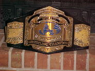 World Class Champion.jpg (49 KB) World Class Championship