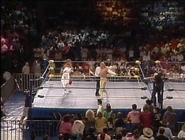 Wrestlewar 1991 4.jpg (85 KB)
