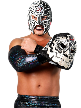 BUSHI19