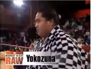 Yokozuna.