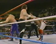 1.16.88 WWF Superstars.00016.jpg (78 KB)