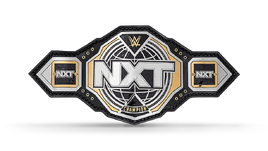 NXT Championship 2024