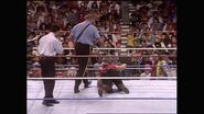 SummerSlam 1991.00034