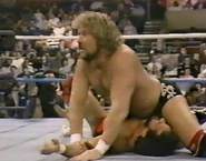 1.16.88 WWF Superstars.00020.jpg (80 KB)
