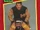 1991 WCW (Impel) Steiner Brothers (No.114)