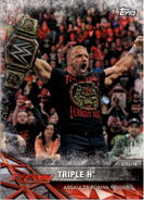 2017 WWE Road to WrestleMania Trading Cards (Topps) Triple H 33