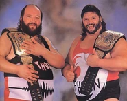 Natural Disasters (July 20, 1992 - October 13, 1992)