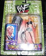 Jakks Sunday Night Heat Sable