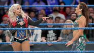 3.7.17 Smackdown.19