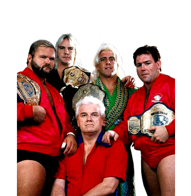 WWE Mattel Elite 4 Custom IV Four Horsemen Shirts Wrestling Figure NJPW ROH WCW 