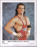 Bob holly