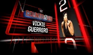 2.) Vickie Guerrero