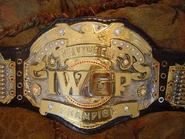IWGP Heavyweight Championship.jpg (56 KB)