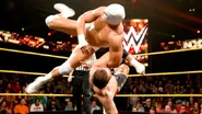 NXT 226 Photo 10.jpg (41 KB)