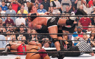 Survivor Series2003