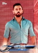 2018 WWE Wrestling Cards (Topps) Samir Singh (No.81)