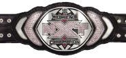 NXT Women's Championship (2013 - 2014)