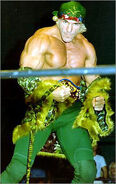 Superstar-Billy-Graham