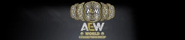 Aew world banner